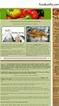 Mobile Screenshot of foodrunfix.com
